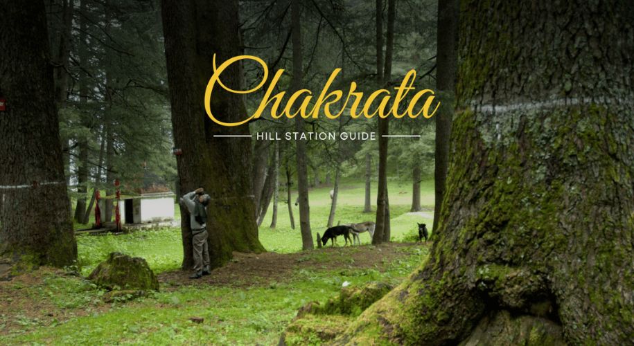 Chakrata Tour Package – Raw Nature, Quiet Roads & Hidden Gems
